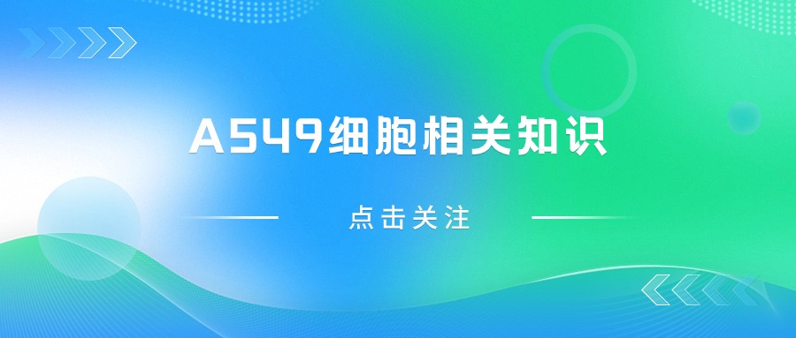 關于A549細胞，您不得不知道的一些操作