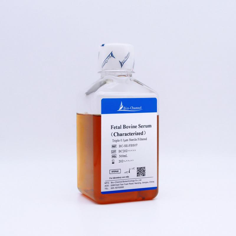 優級胎牛血清 Fetal Bovine Serum（Characterized）